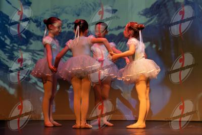 SHOW_00372.jpg